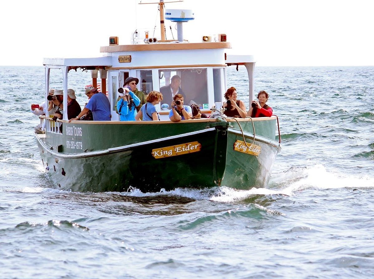 harbor tours inc tours