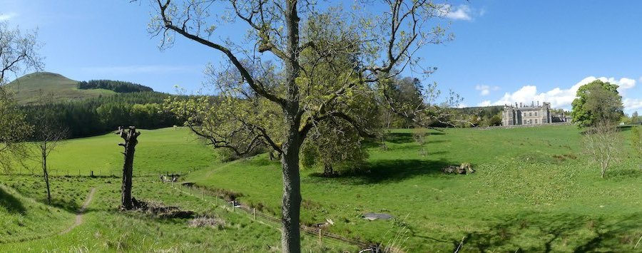 Maspie Den trail in the open field around Falkland estate