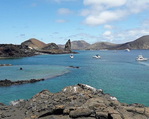 whale watching tours galapagos