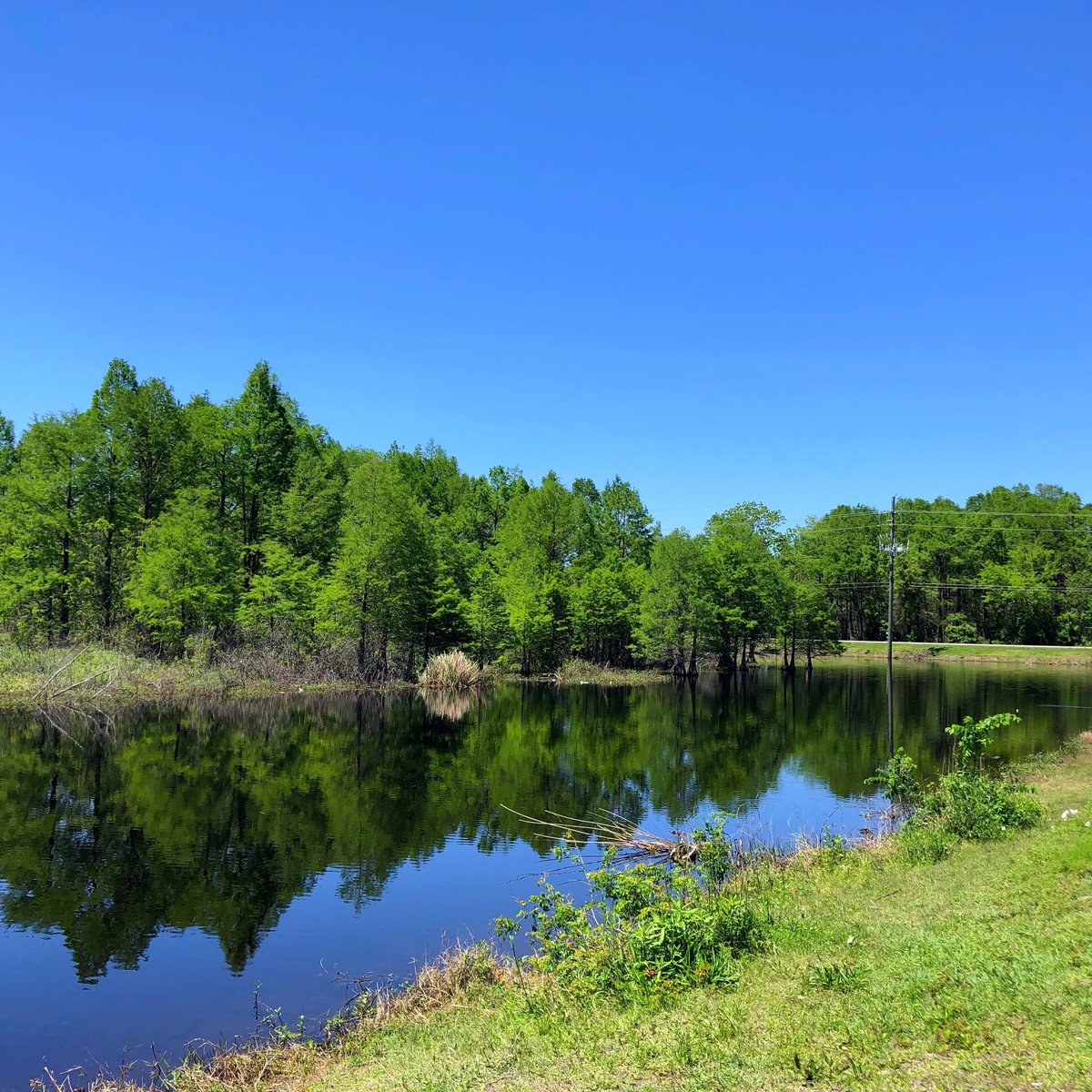 Sheldon Lake State Park & Environmental Learning Center, Хьюстон: лучшие  советы перед посещением - Tripadvisor