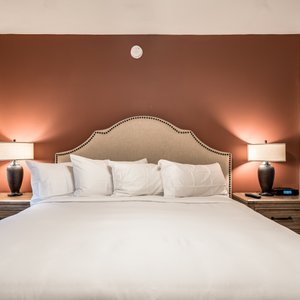 Executive King Suite