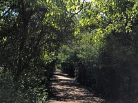 Sheldon Lake State Park & Environmental Learning Center — Texas