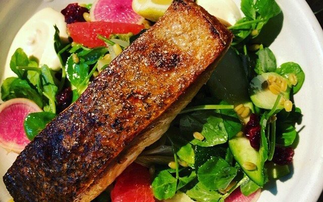 Grilled Salmon