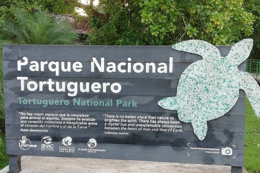 Tortuguero National Park image