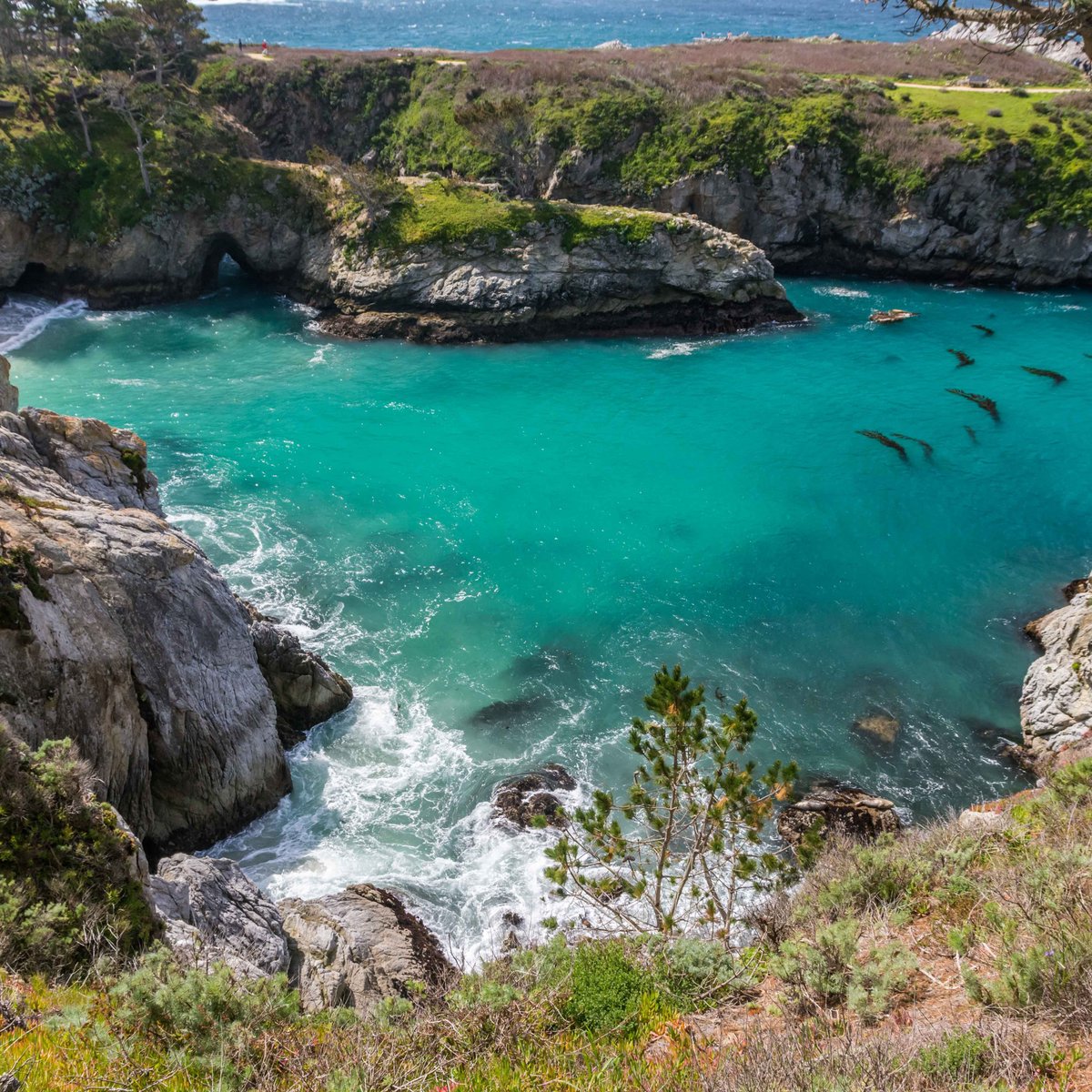 Point Lobos State Natural Reserve