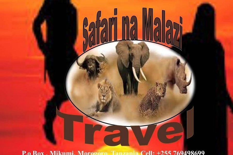 Safari na Malazi Travel image