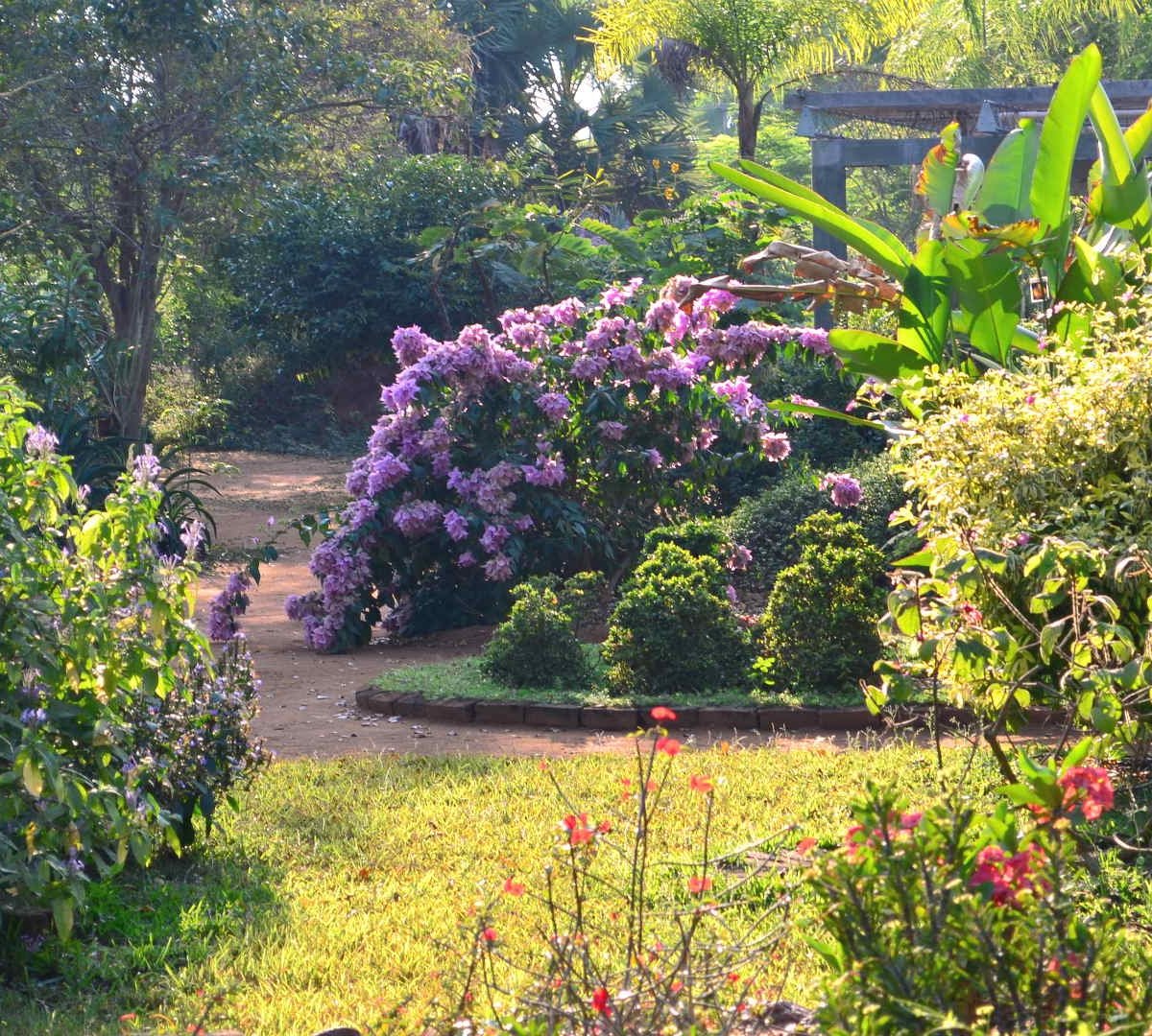 Auroville Botanical Gardens - All You Need to Know BEFORE You Go