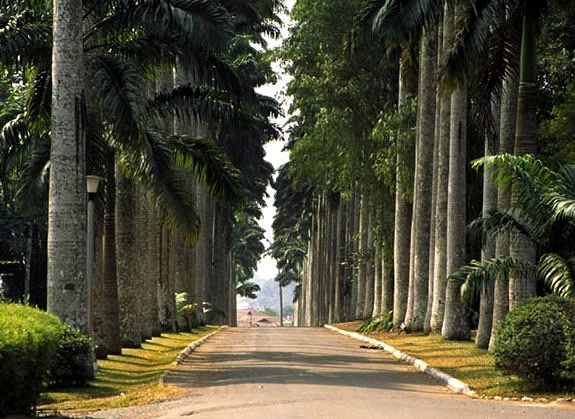 Aburi Botanical Gardens image