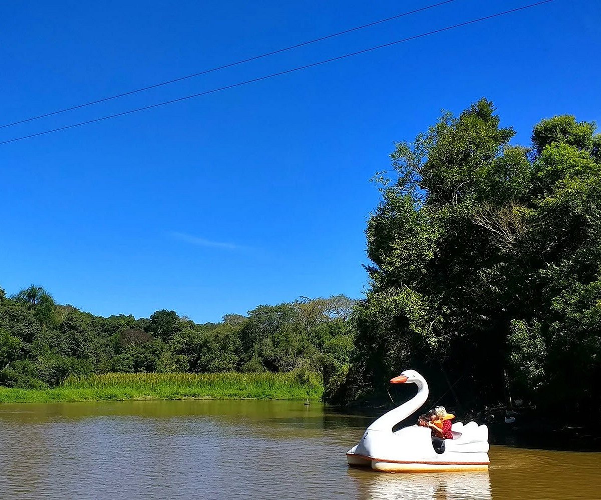 O nome das coisas: Passeio na fazenda