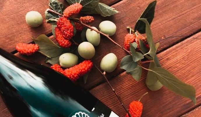 Dünyanın en prestijli şarap yarışmalarından aldığı ödüller ile Türk şarapçılığının adının duyulmasına katkı sağlayan @likyawines Sota’da!
