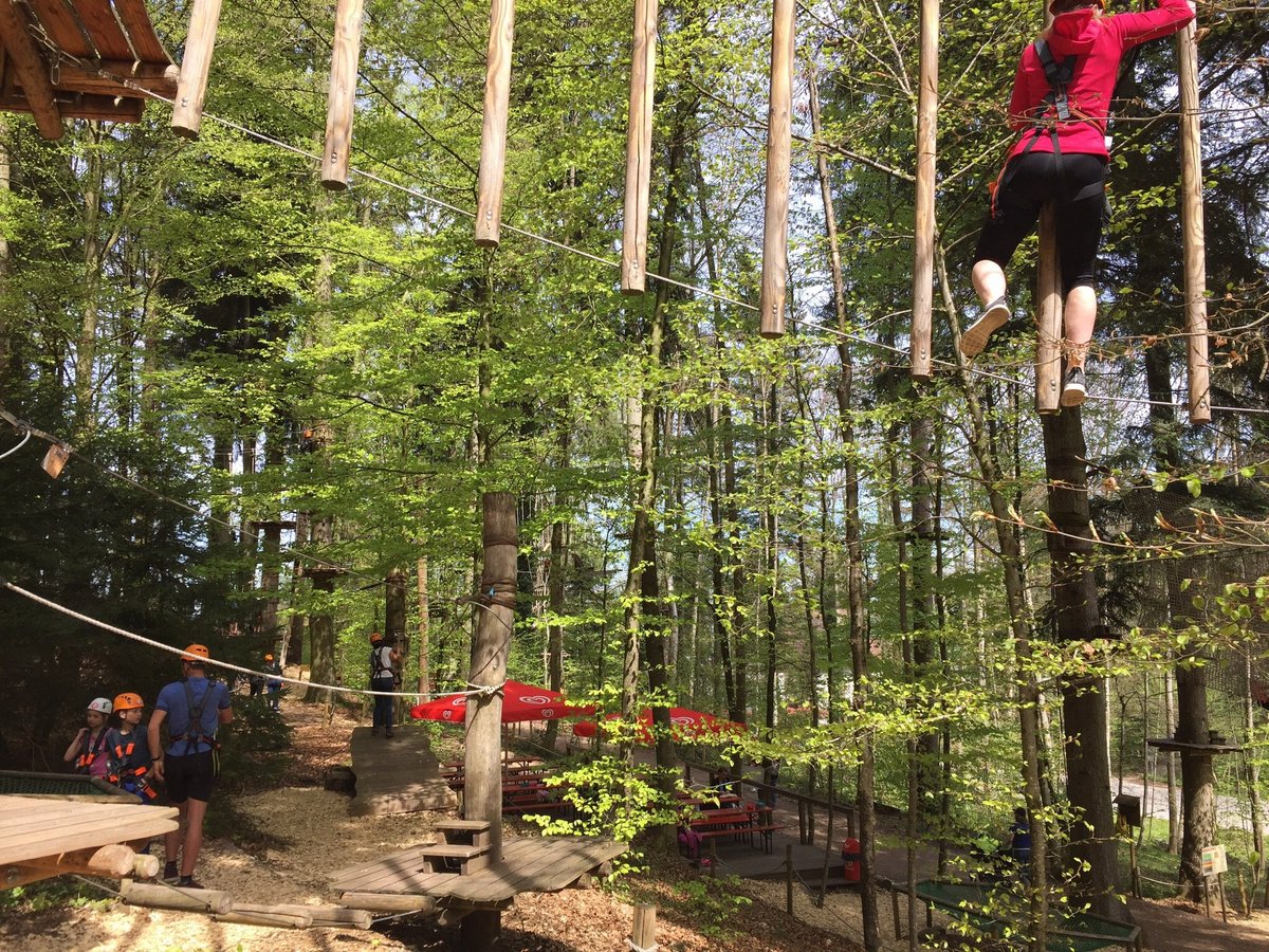 Kletterwald Prien (Prien am Chiemsee) - All You Need to Know BEFORE You Go