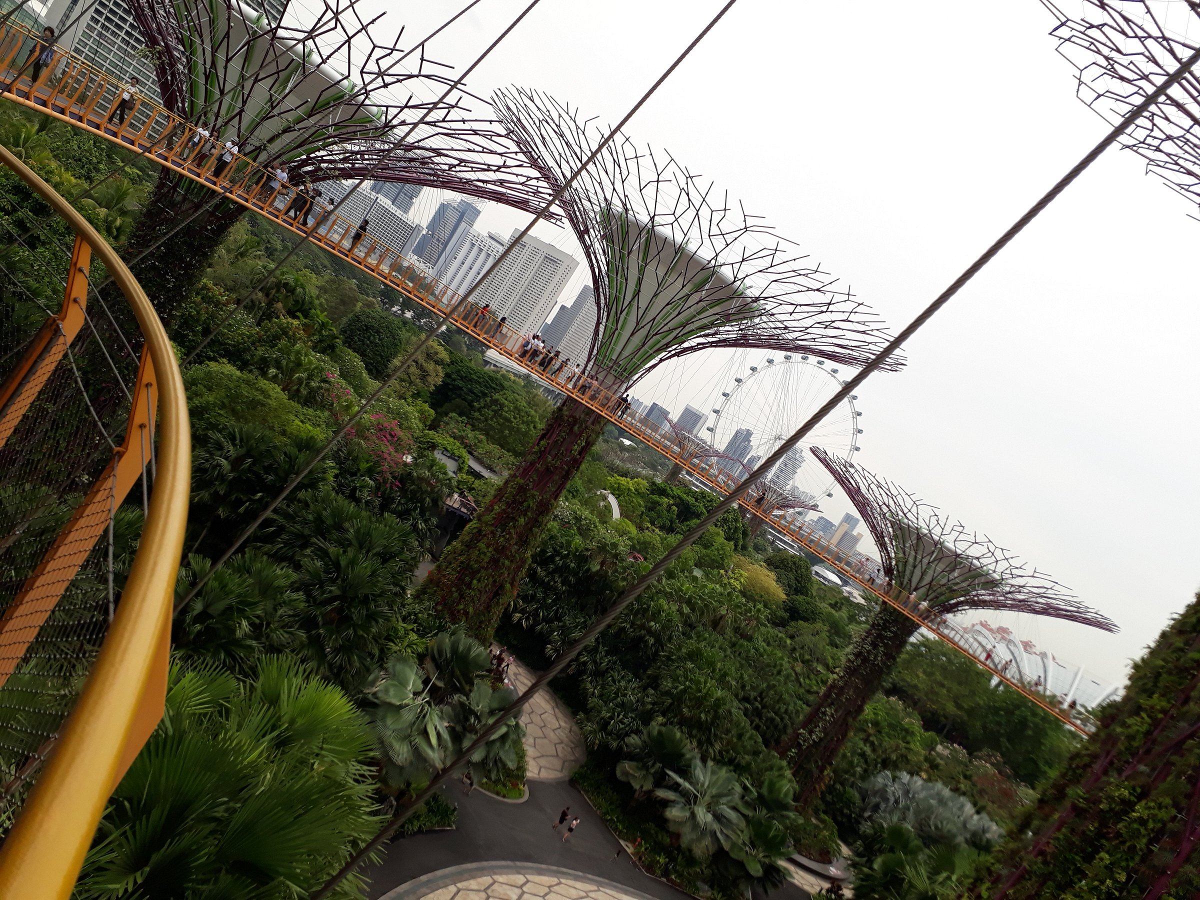 2024 (Singapore) Singapore Flyer and Gardens by the Bay Package