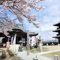 桜まつりの風景です。