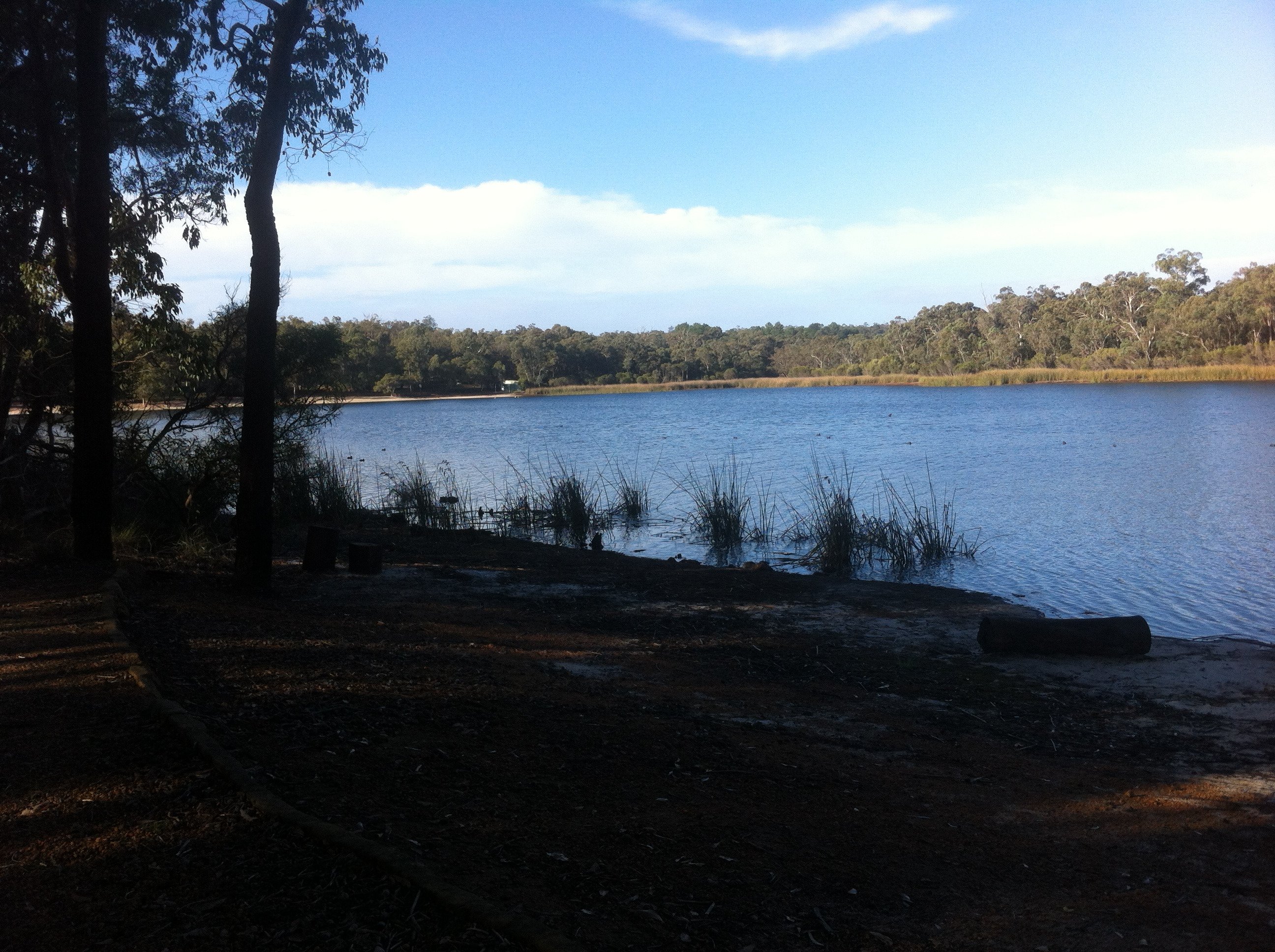 Lake Leschenaultia (Mundaring) - 2022 Lohnt Es Sich? (Mit Fotos)