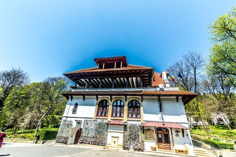 Vila Florica - CENTRUL DE CULTURĂ ,,BRĂTIANU" image