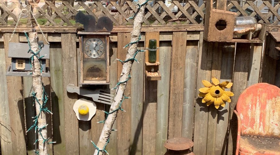 Funky squirrel feeders here! Entertainment!