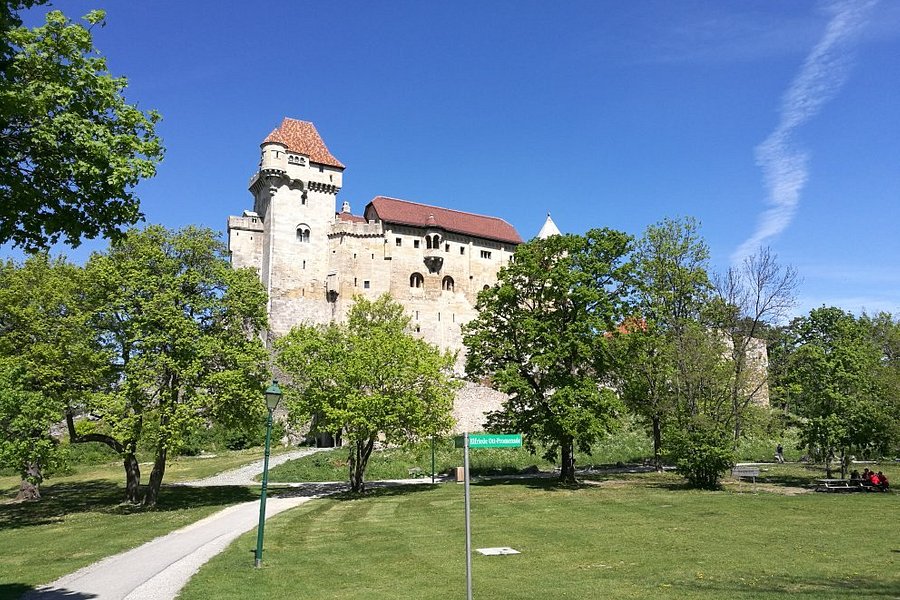 Burg Liechtenstein image
