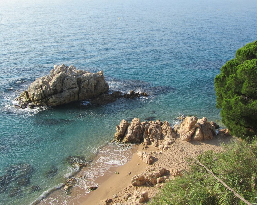 THE 15 BEST Things to Do in Calella (2024) - Must-See Attractions