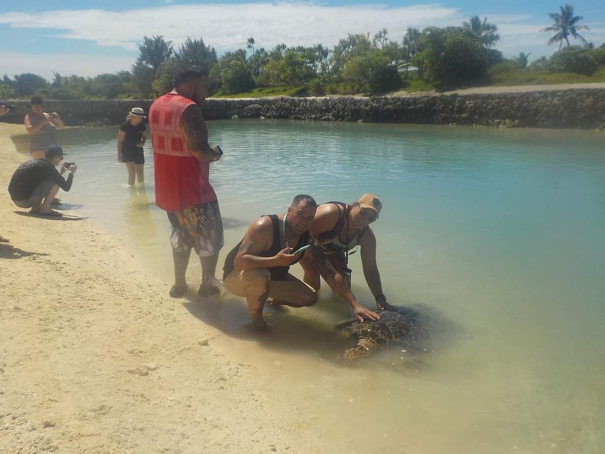 adventure quad tours port vila vanuatu photos