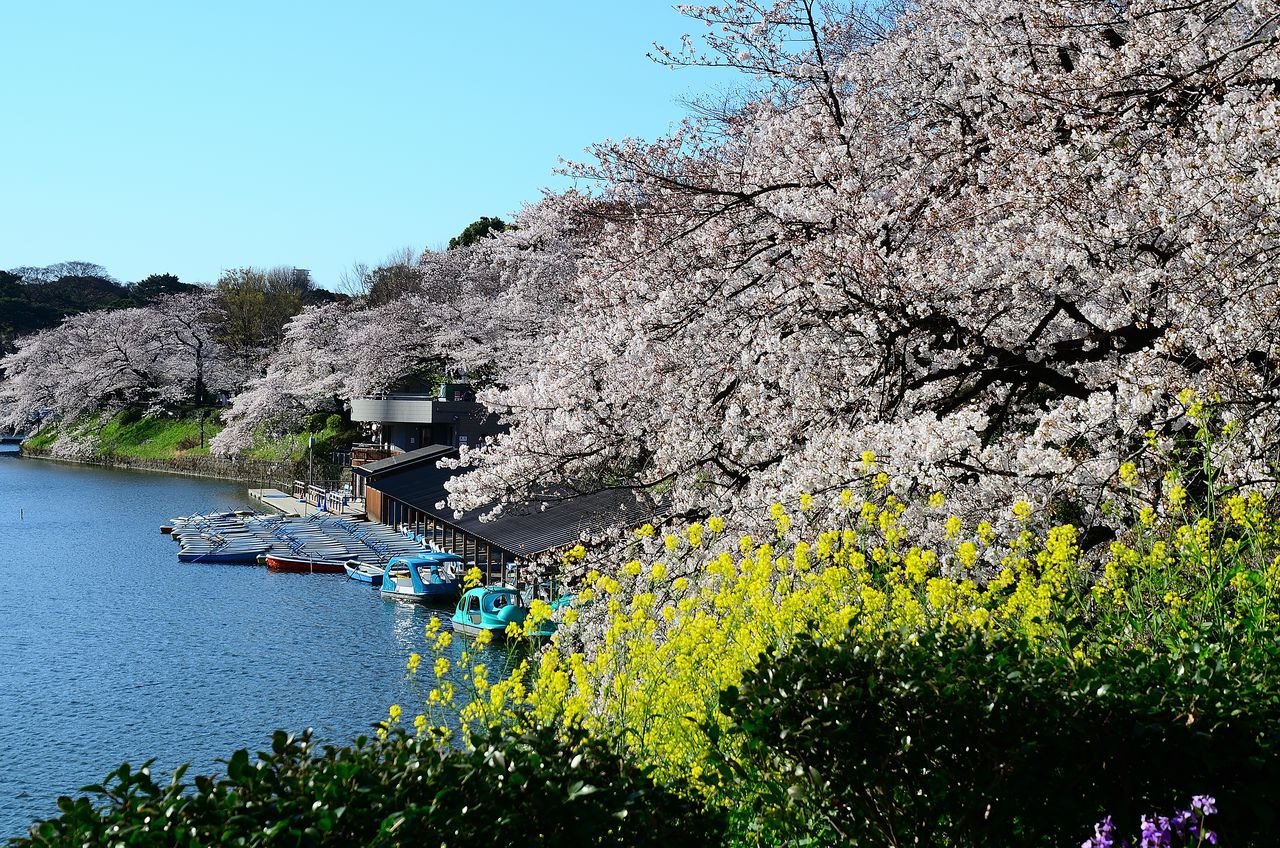 四ツ谷、飯田橋 (東京都心) の観光スポット トップ 10