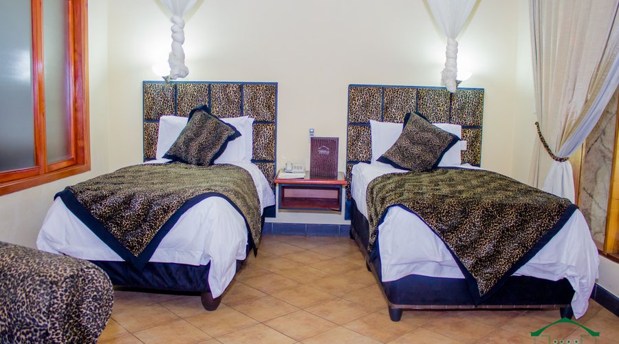 Twin Room