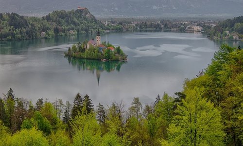 The island in the lake of Bled