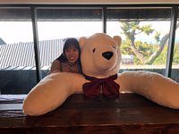 Joanne Bear Museum - Seogwipo Travel Reviews｜ Travel Guide