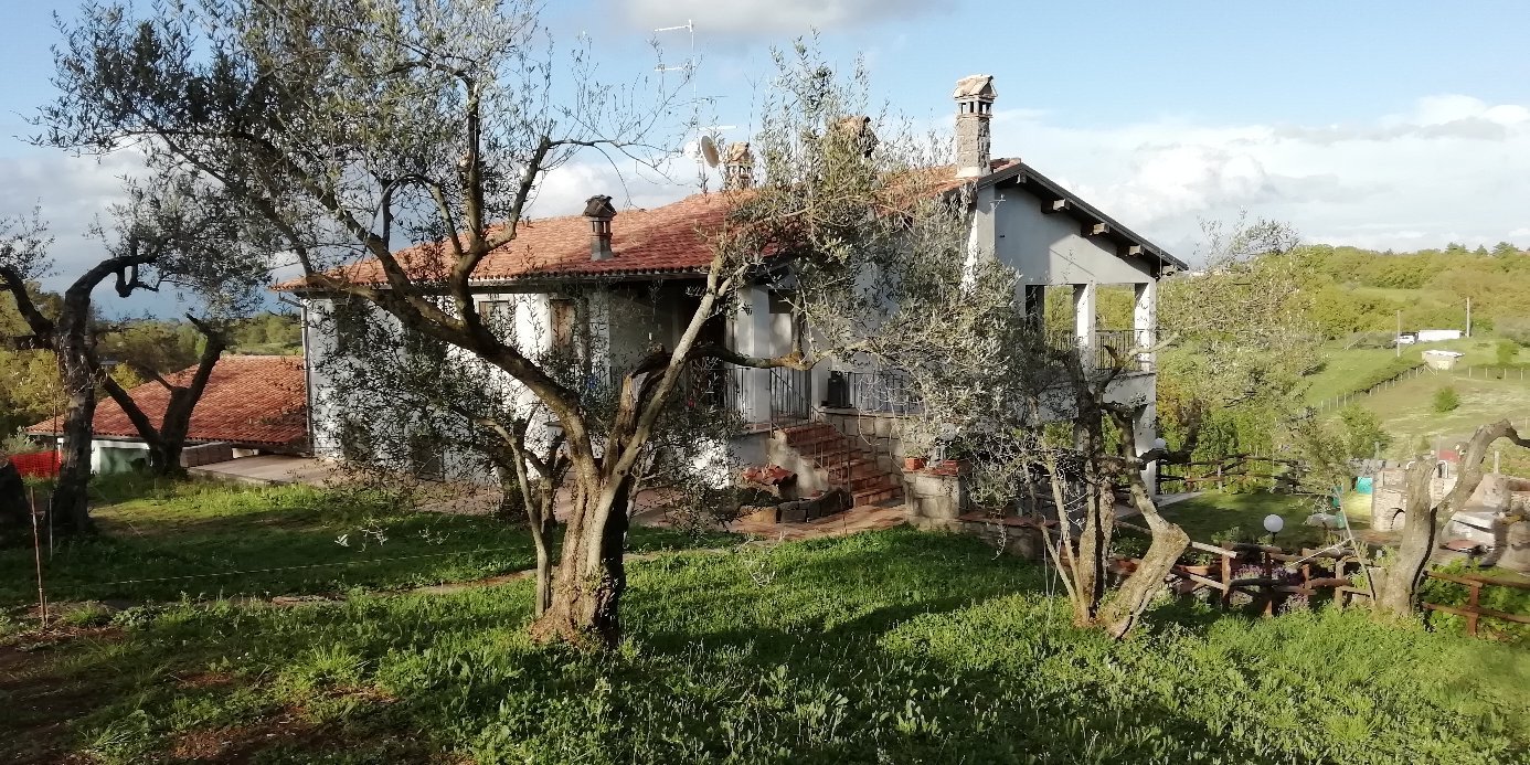 Villa Farfalla Bianca image