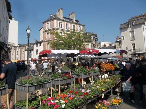 12 Best Places to Go Shopping in France