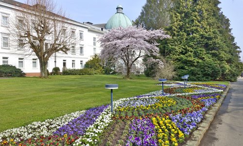 Erste Frühlingsblüten im Wildunger Kurpark (09.04.2019)