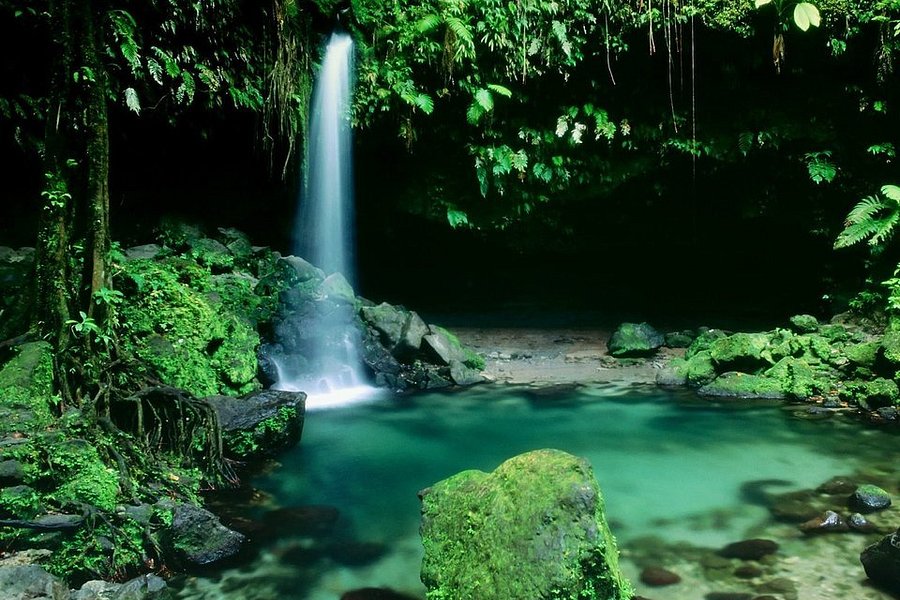 Emerald Pool Nature Trail image