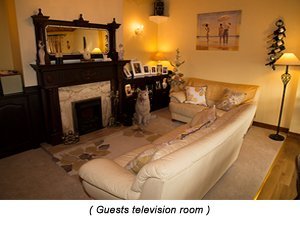 Sitting room for guests