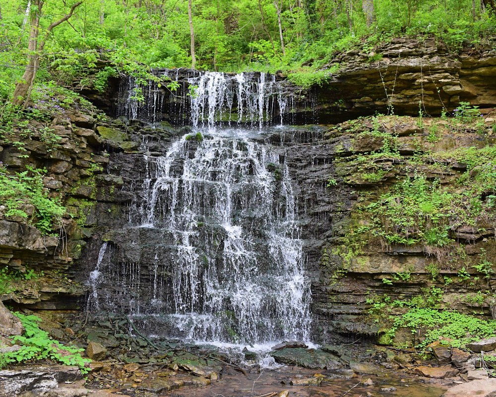 THE 15 BEST Things to Do in Frankfort (2025) - Must-See Attractions