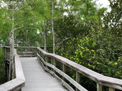 Everglades National Park Hiking Trails The 5 Best Everglades National Park Hiking Trails (With Photos) -  Tripadvisor