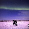 Nellytrips