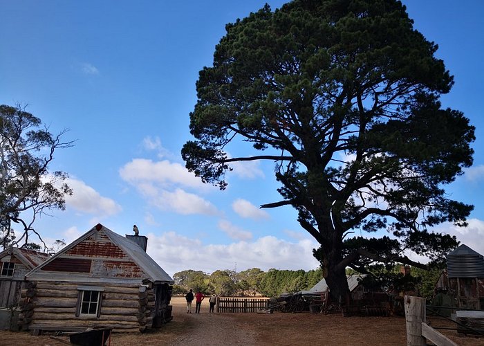 Lucknow Skin Shop & Boot Barn