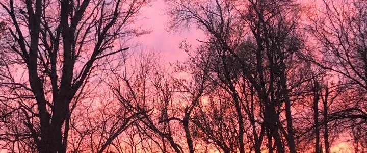 Beautiful sunset