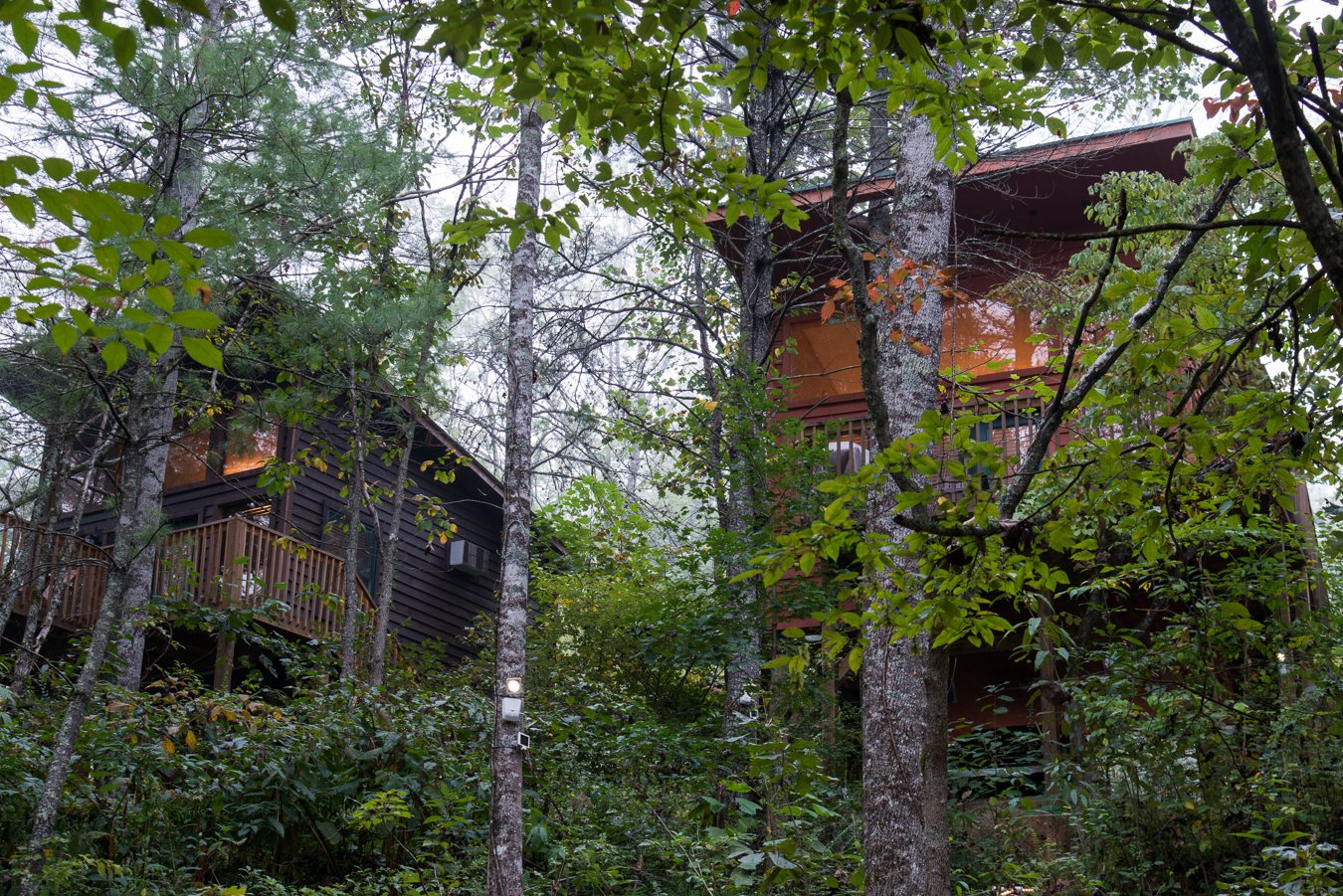 Rivers Edge Treehouse Resort Robbinsville Caroline Du Nord Tarifs 2024   Yellow Pine 2 And Poplar 