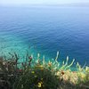 Evridiki T