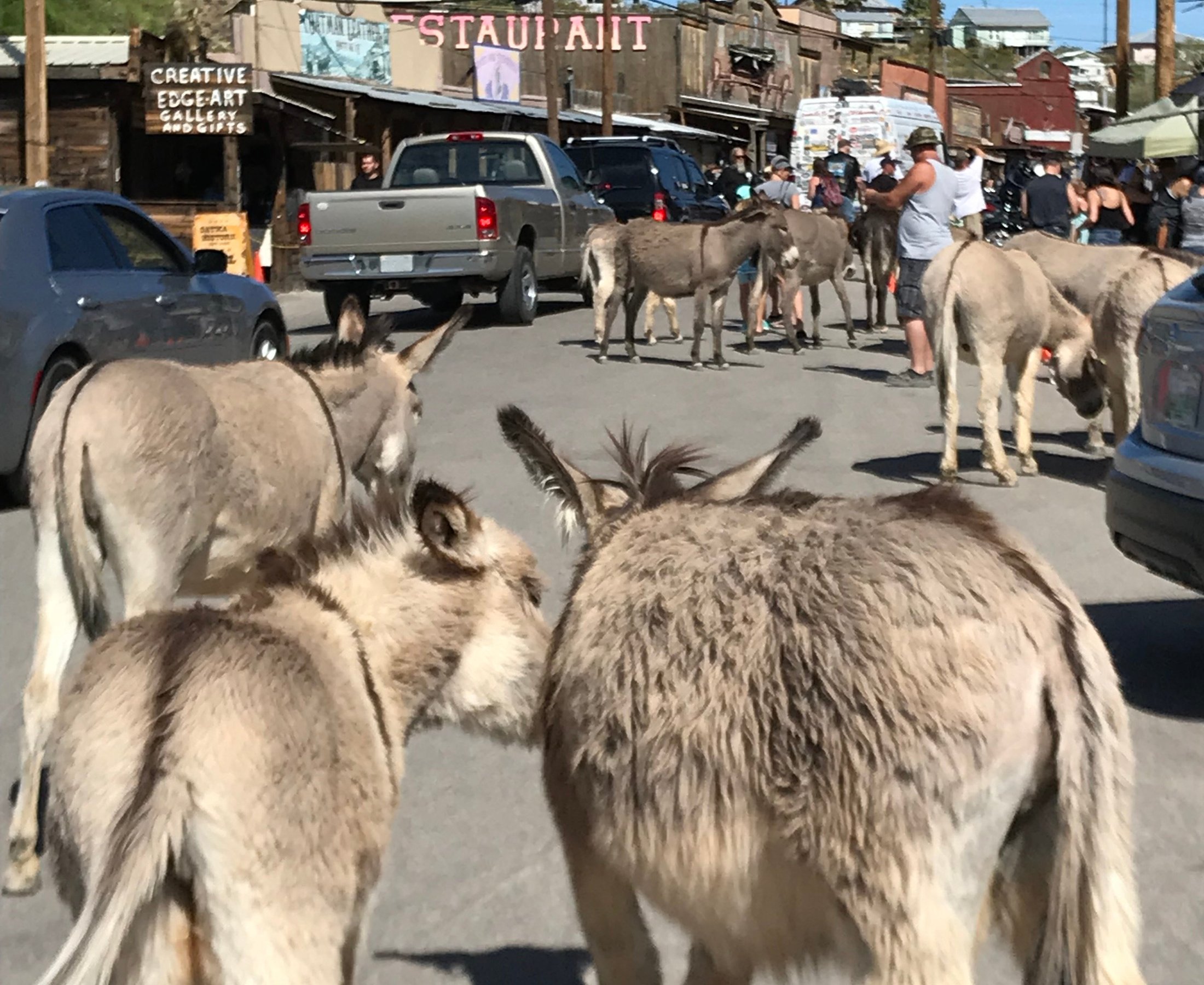 Laughlin Adventure Tours - 라플린 - Laughlin Adventure Tours의 리뷰 - 트립어드바이저
