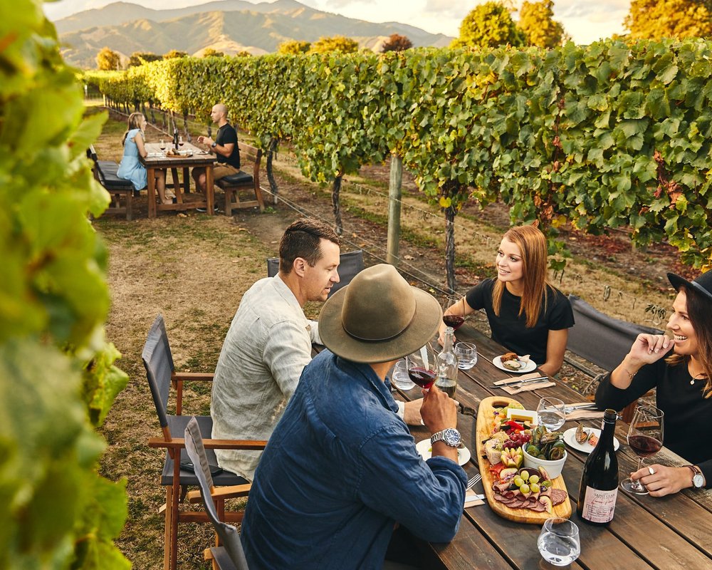 THE 10 BEST South Island Wineries & Vineyards to Visit (2025)