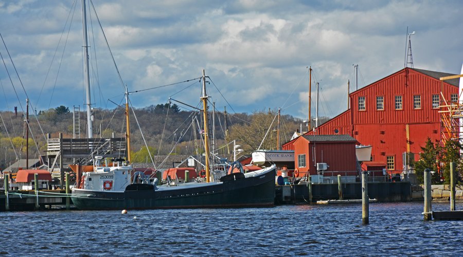 Scene from near the bridge  