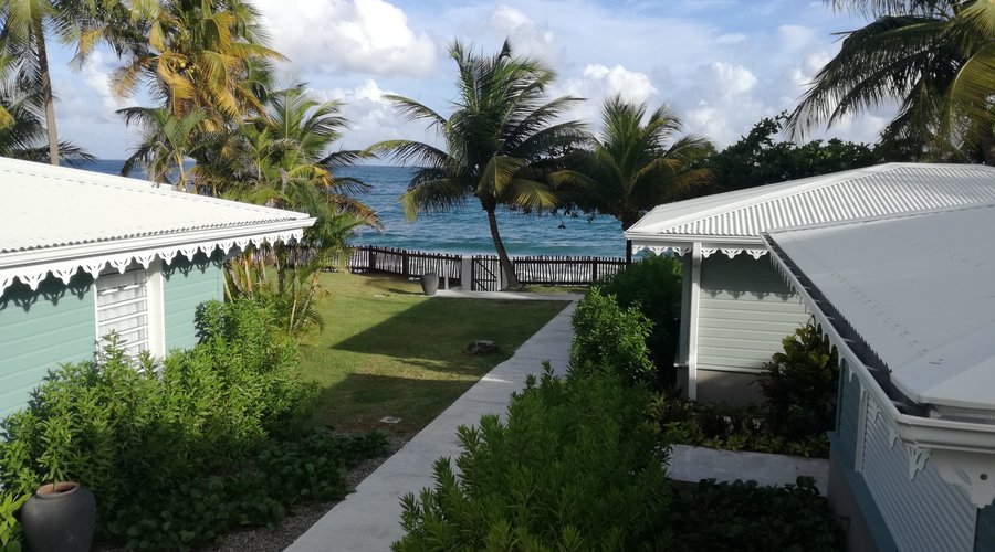 View to the ocean