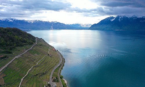 Beautiful view of the Lavaux wine yard and lac Leman from Chexbres.