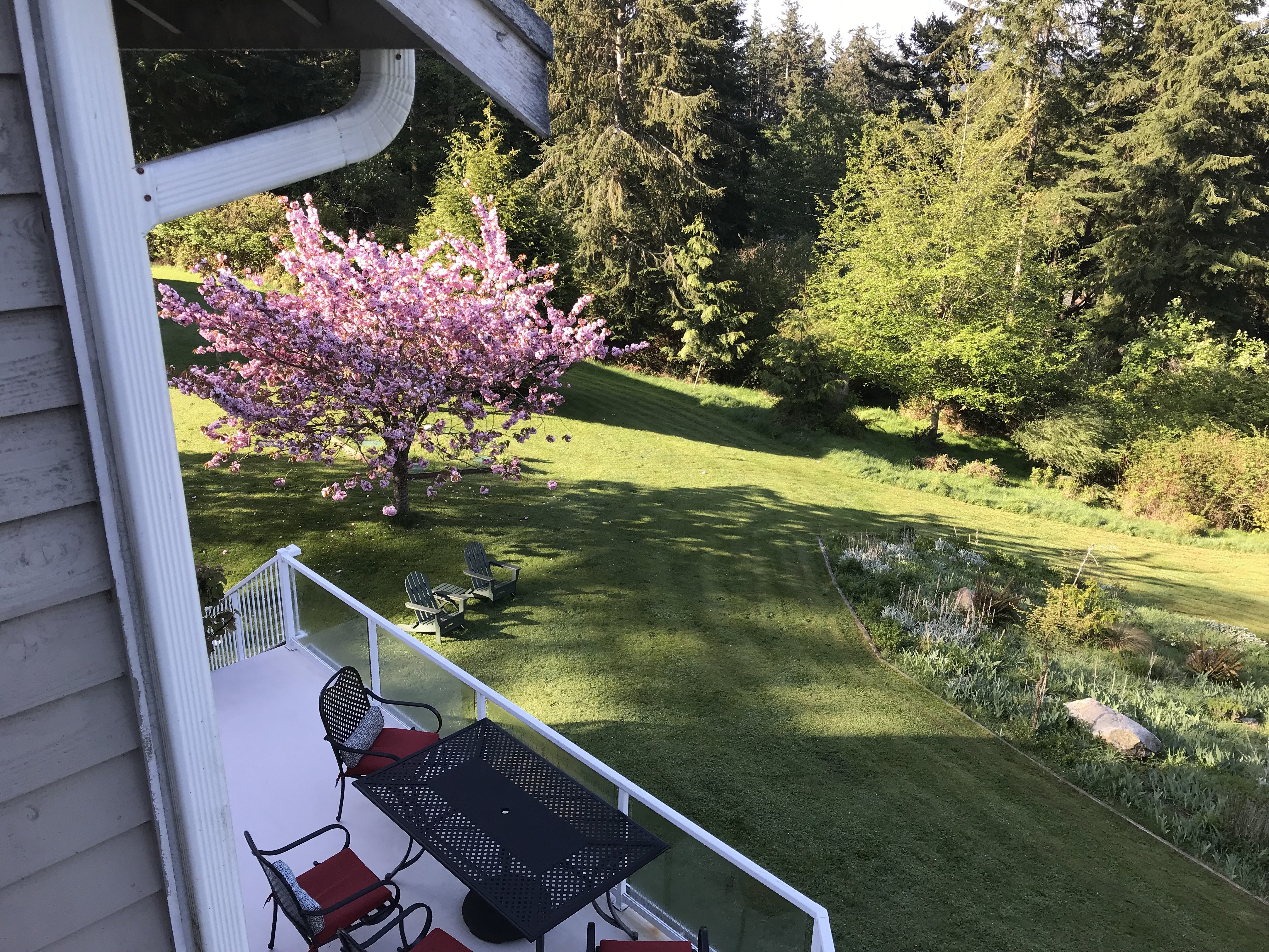 WHIDBEY ISLAND BED & BREAKFAST - B&B Reviews (Langley, WA)