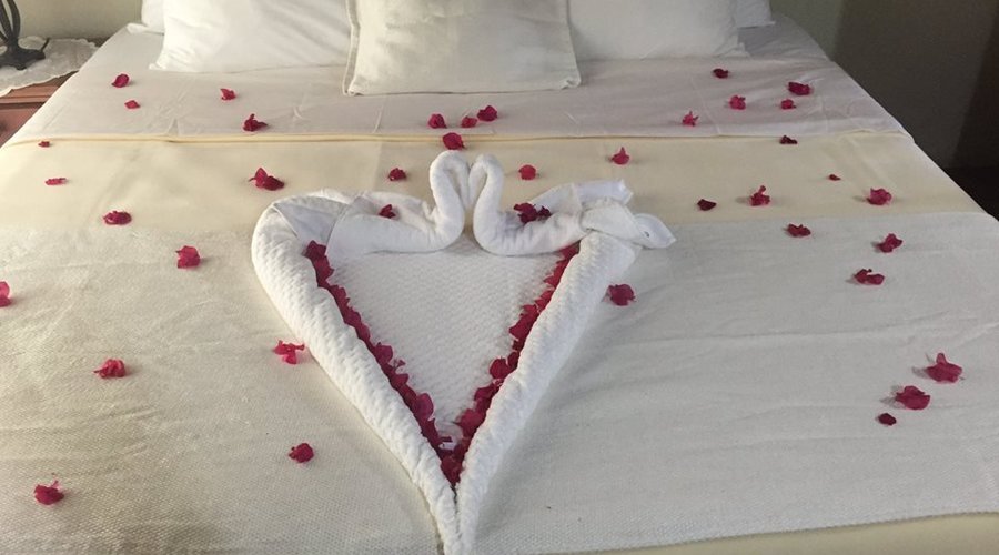 Honeymoon Suite with Pool View.  Book with us violasplace22@gmail.com  (868) 639-9441  #Tobago