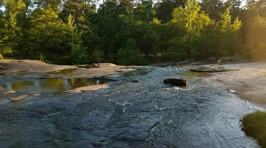 the park