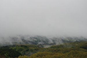 客室 & スイート