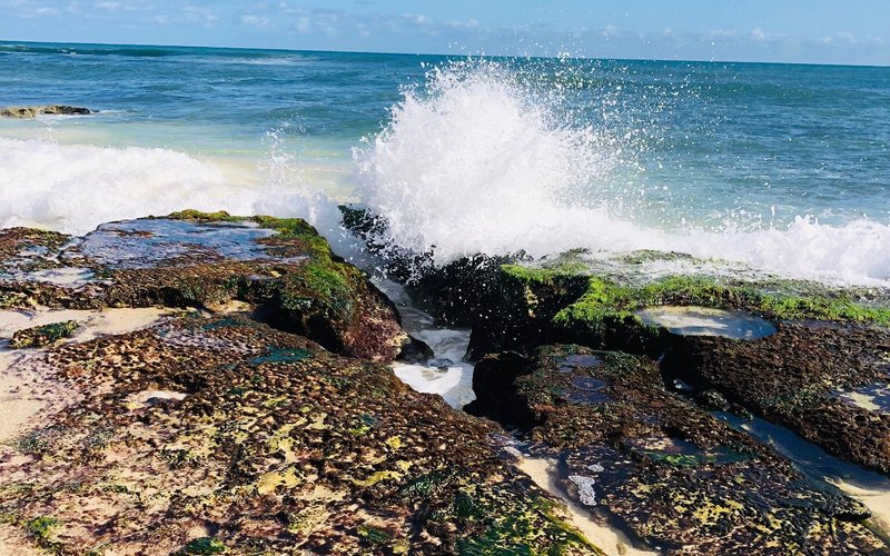 THE 5 BEST Things to Do in Yanchep Updated 2021 Must See Attractions in Yanchep, Wanneroo