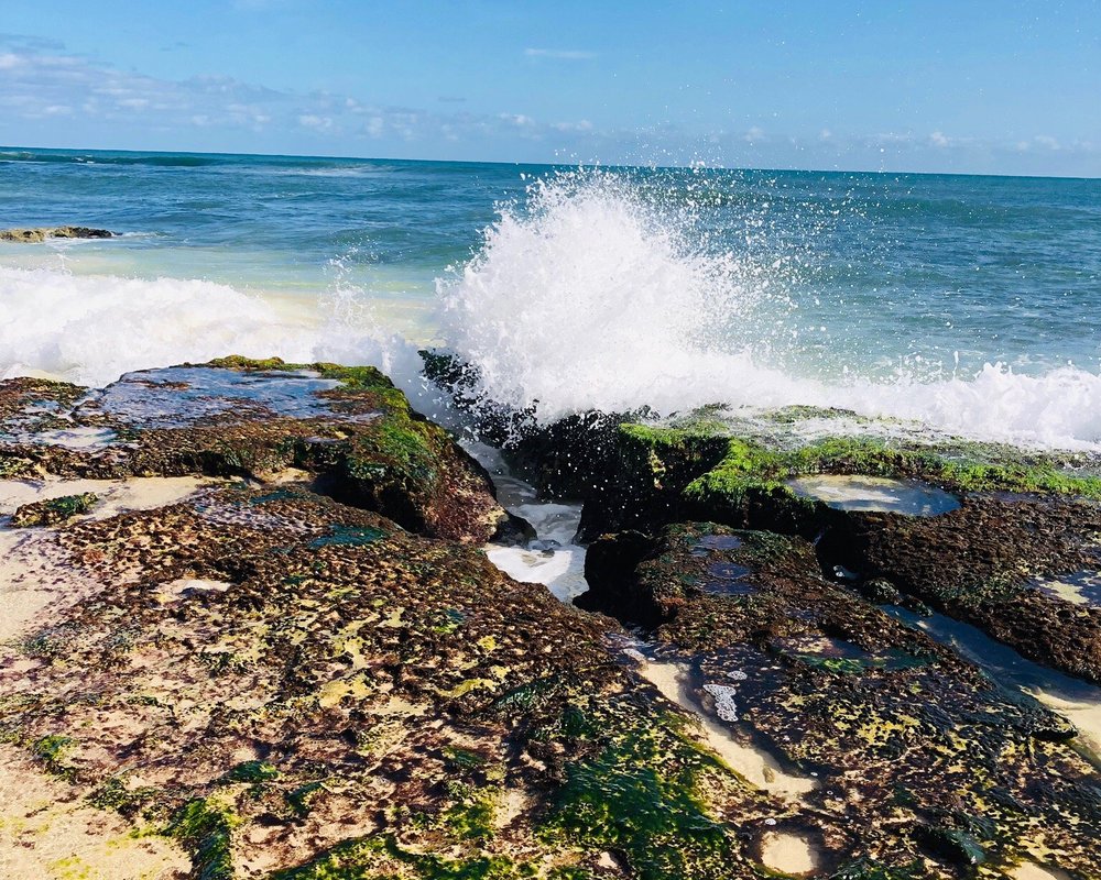 THE 5 BEST Things to Do in Yanchep 2022 (with Photos)